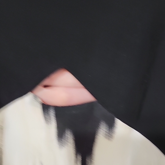 Silence + Noise Large Black And Cream Dress - Picture 6 of 10